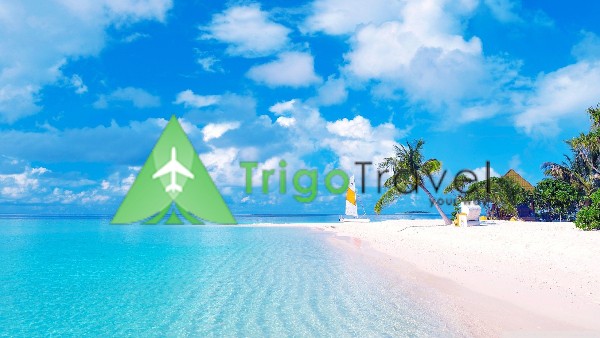 Trigo Travel | DevTeam